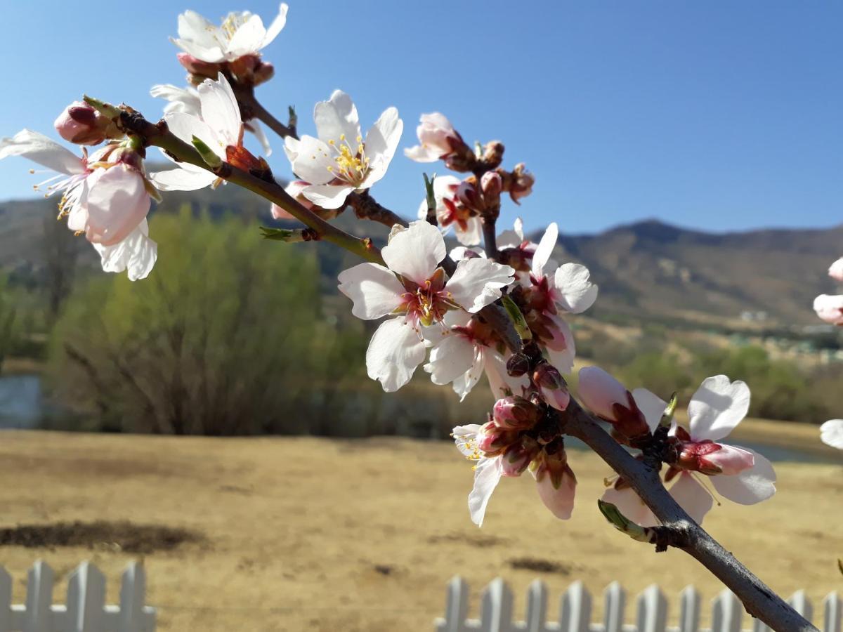 Lake Clarens Guest House Luaran gambar