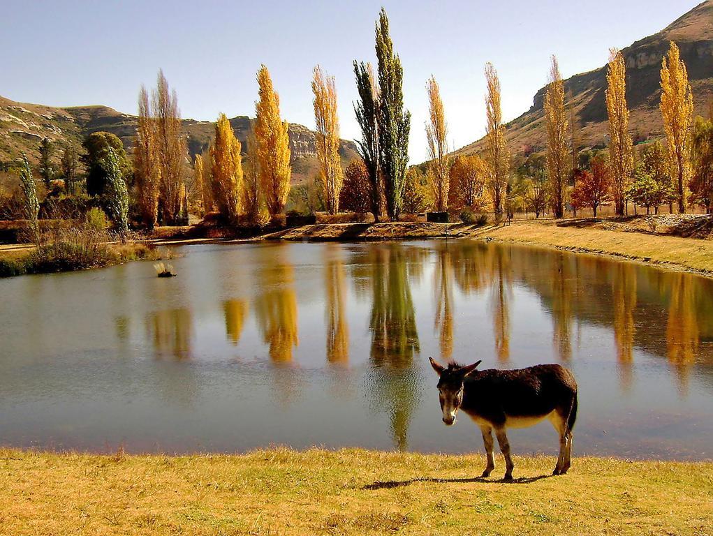 Lake Clarens Guest House Luaran gambar
