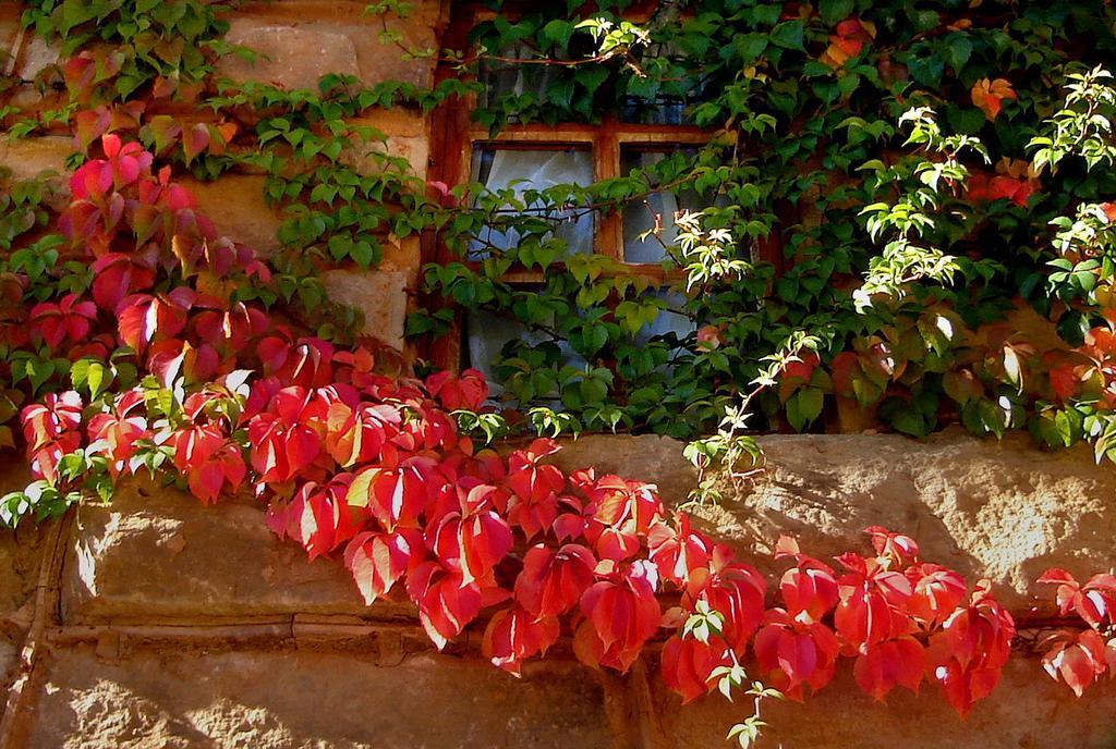 Lake Clarens Guest House Luaran gambar