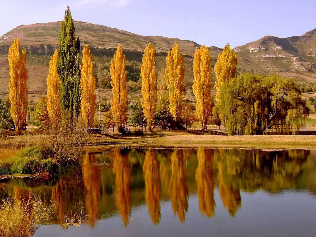 Lake Clarens Guest House Bilik gambar